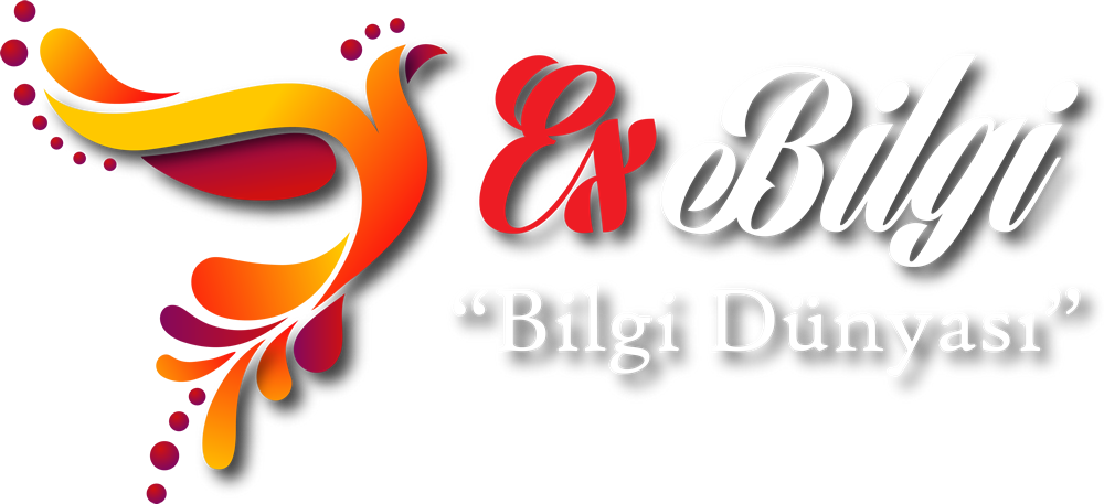ExBilgi Logo