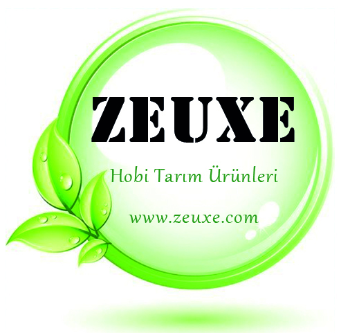 Bitki Yetiştirme Kabinleri | Zeuxe Grow Box