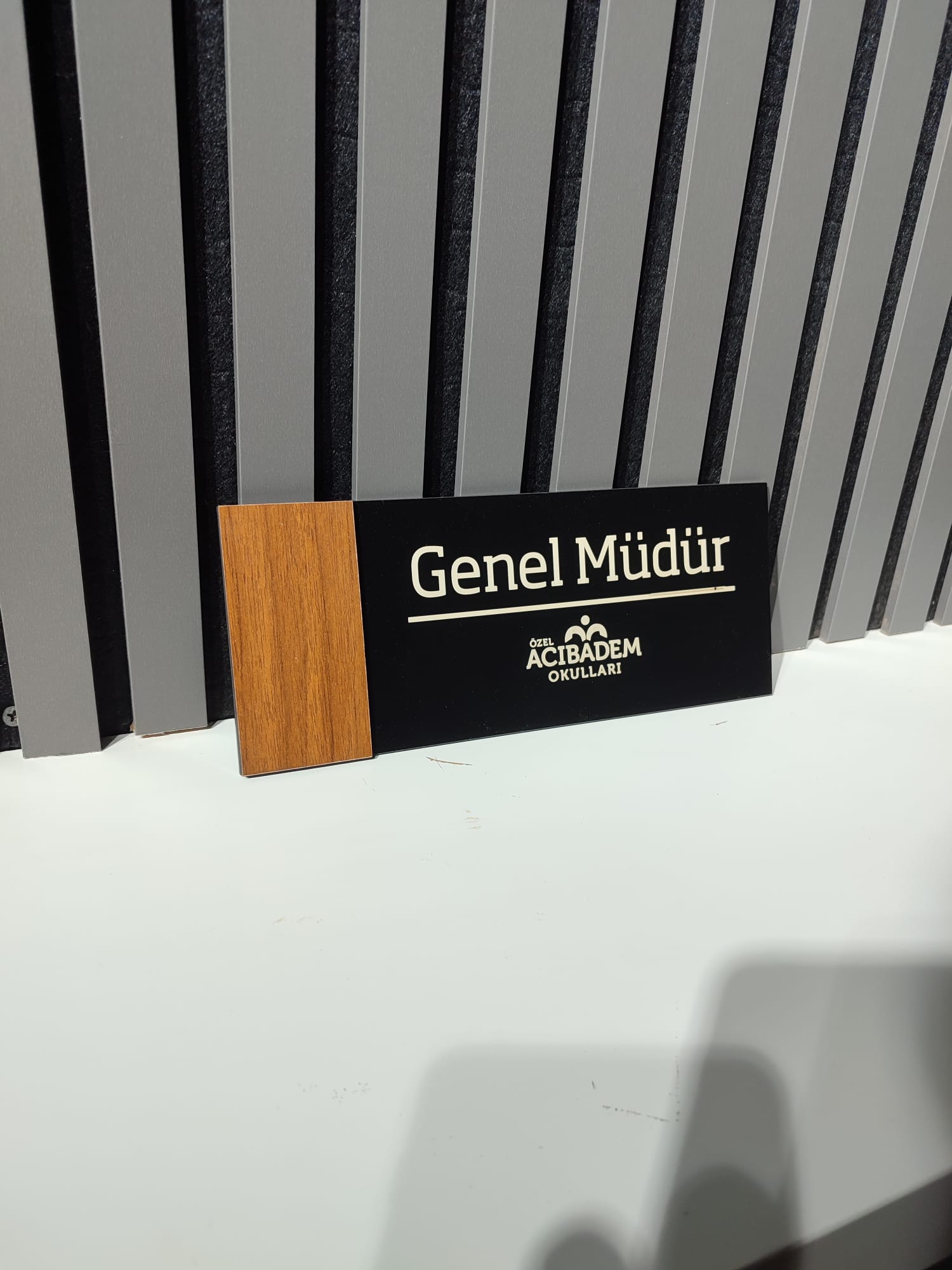 Kurumsal Prestij İçin Kapı İsimliği Kullanımı